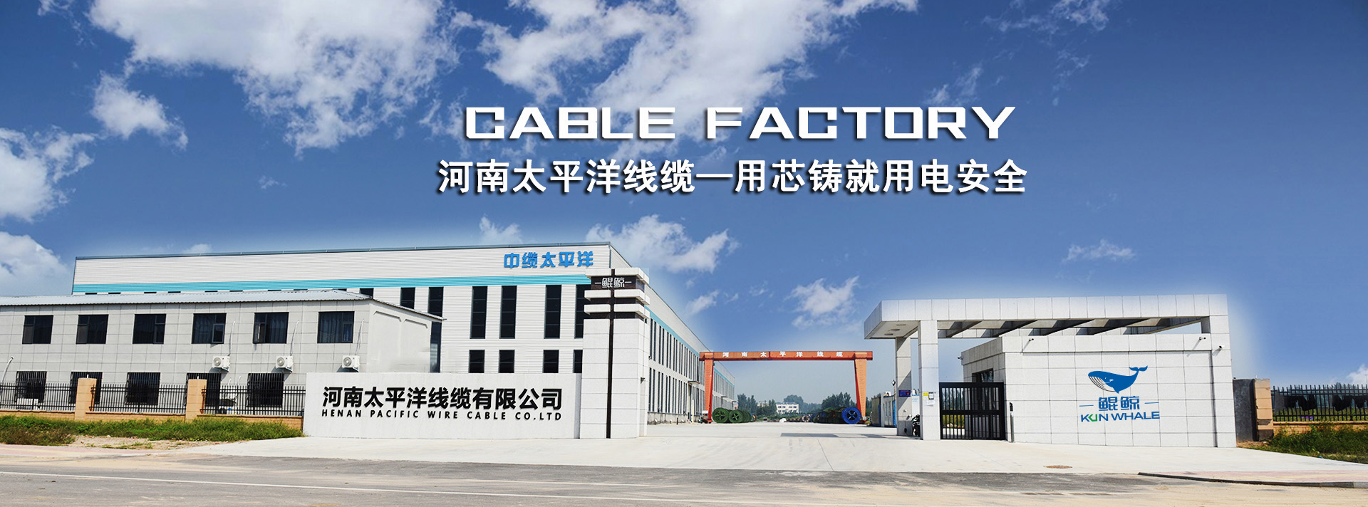 河南太平洋線(xiàn)纜