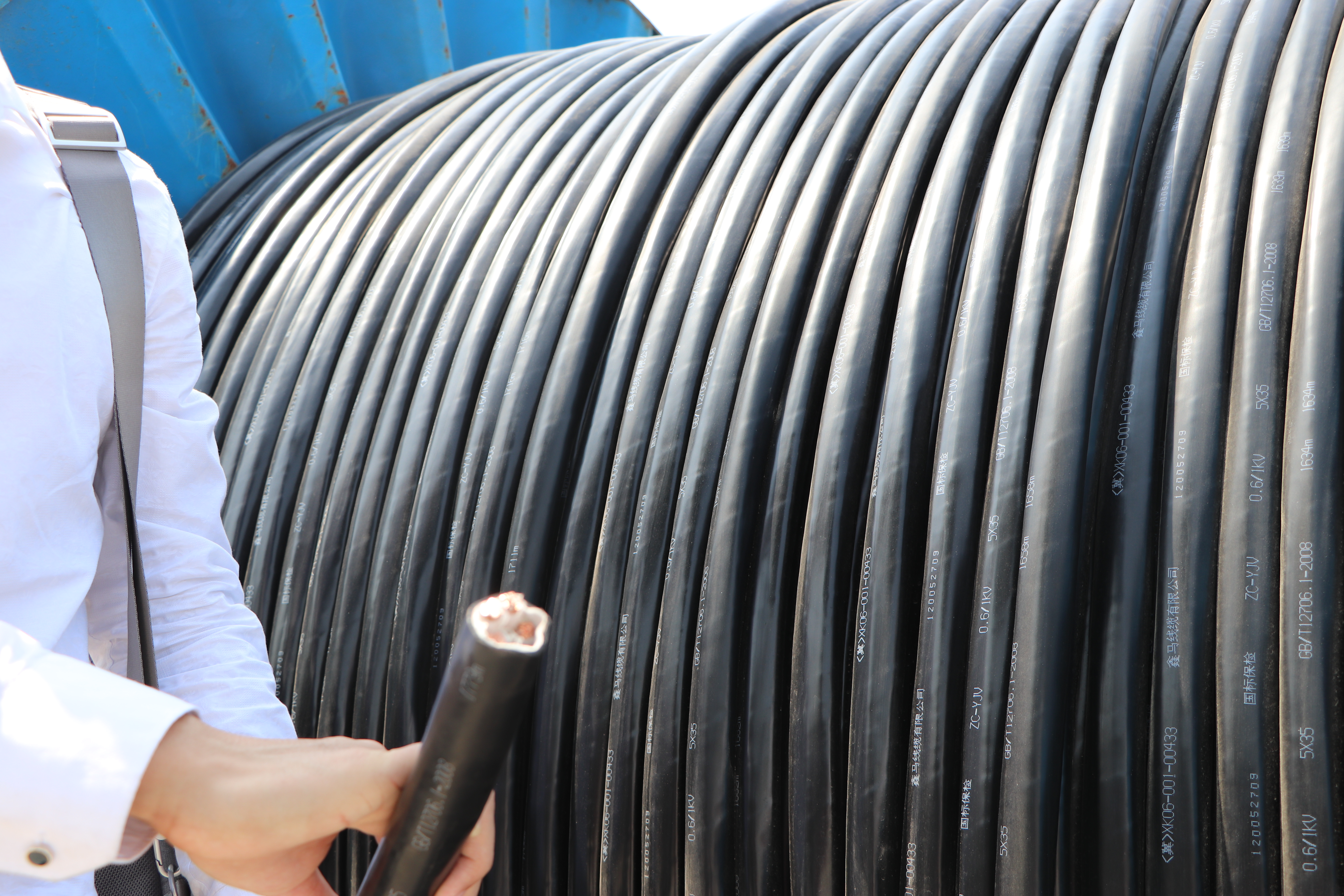 新能源浪潮下的特種電纜：機(jī)遇與挑戰(zhàn)