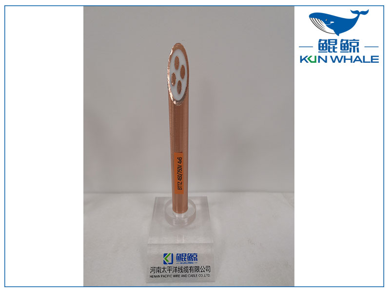 鄭州電纜廠(chǎng)家詳細(xì)介紹BTTZ系列礦物絕緣電纜