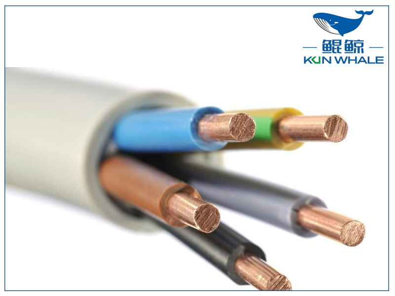 河南太平洋電纜淺談電纜導(dǎo)管內(nèi)與構(gòu)筑物中電纜的敷設(shè)