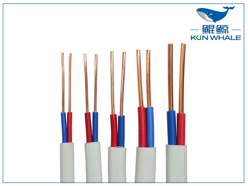 河南太平洋線纜帶你了解什么是<i style='color:red'>bvvb</i>電線？